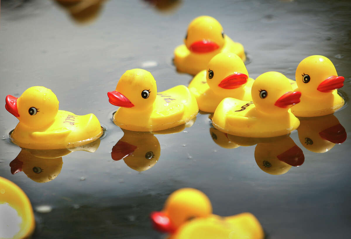 numbered rubber ducks