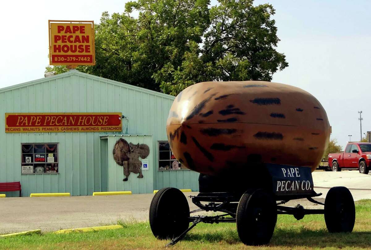 Pilgrimage to Seguin's nutty world wonder