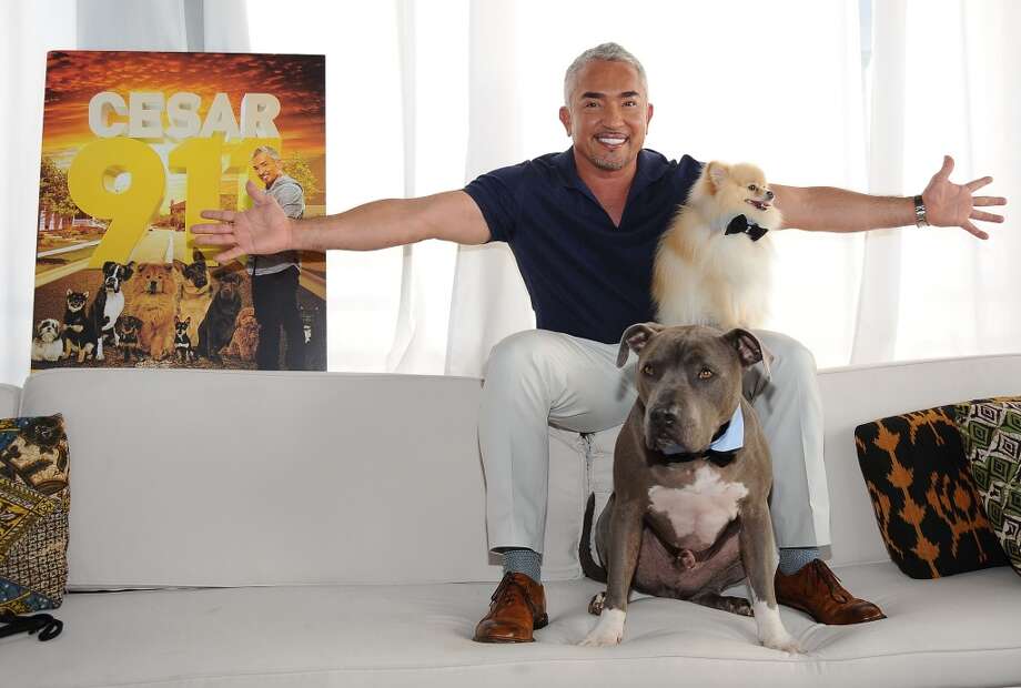   3. West Hollywood, CA

Stop by Smith & amp; Take the ride with your dog

After hiking Runyon Canyon Park, have a snack at Otus Thai Kitchen & amp; Coffee

Eat Out Together on the Taste of India Photo: Getty Images 