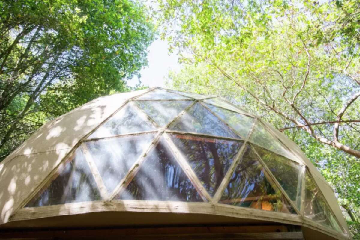 Mushroom cabin outside Santa Cruz is most popular Airbnb in the world