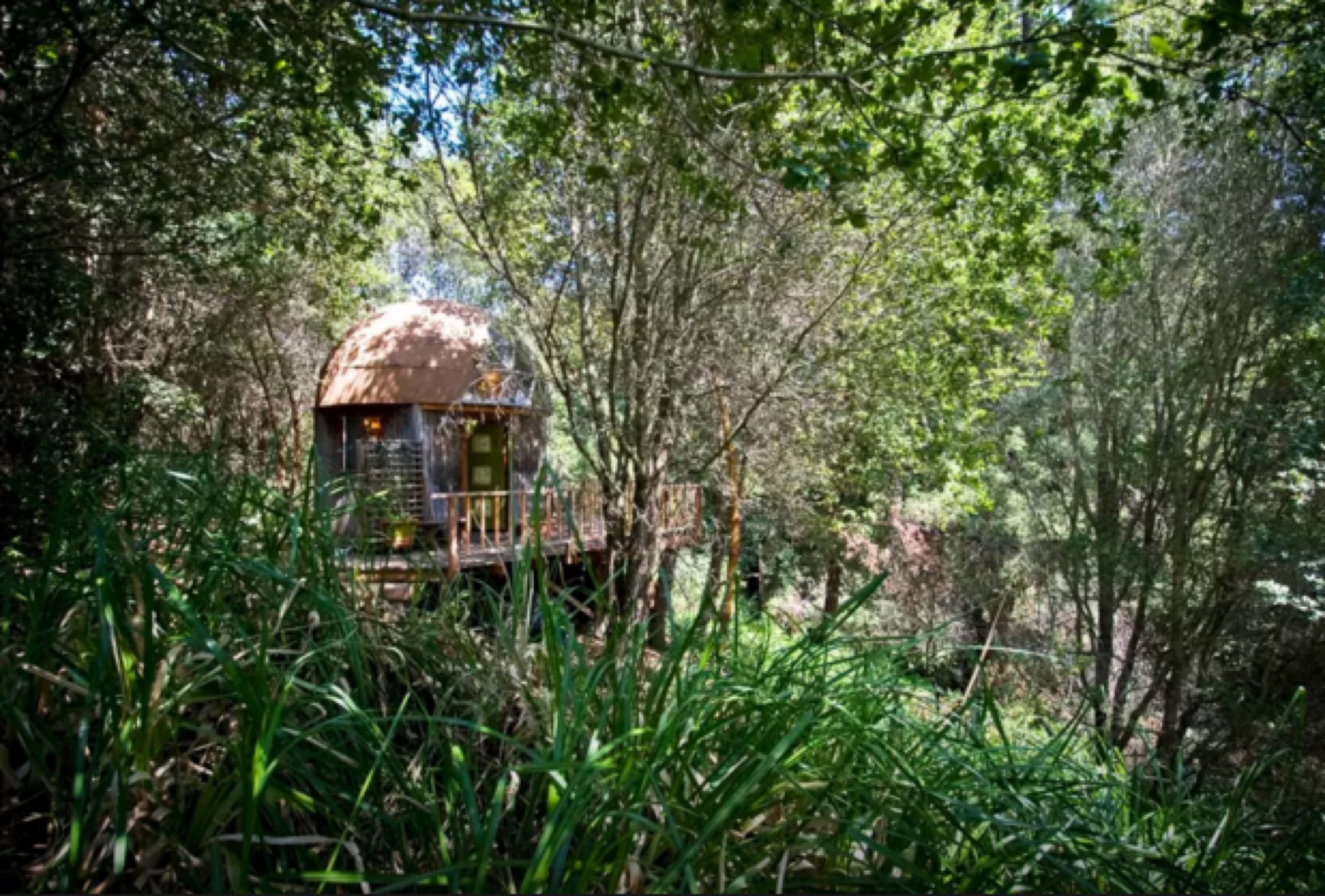 Mushroom cabin outside Santa Cruz is most popular Airbnb in the world