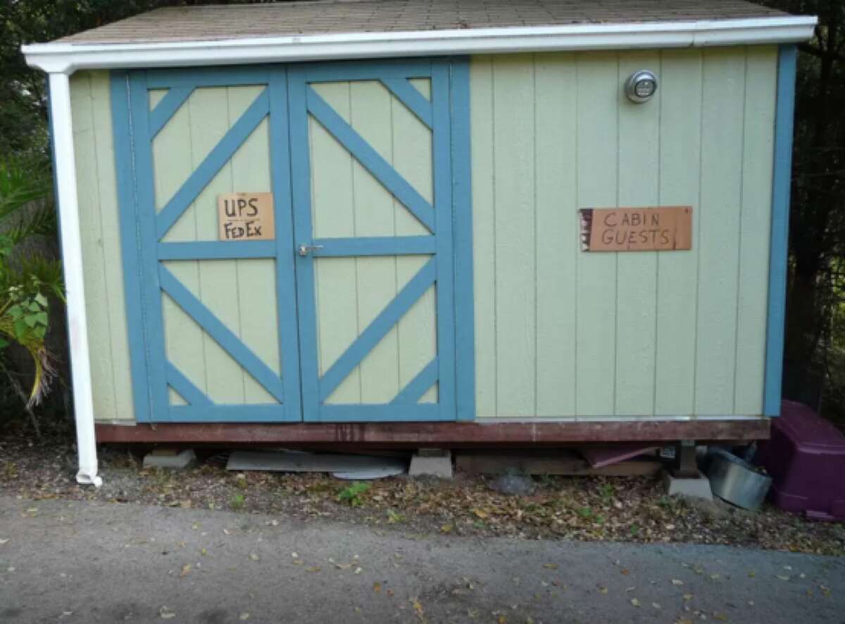 Mushroom Cabin Outside Santa Cruz Is Most Popular Airbnb In The World