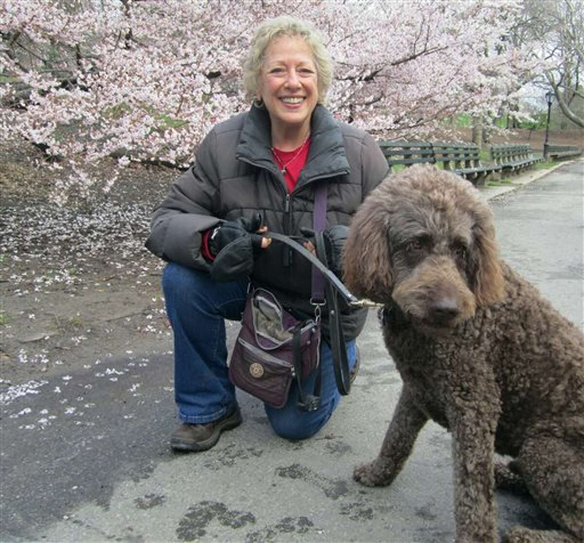 In this April 2014 photo provided by B.L. Ochman, Ochman poses with dog Benny, an 80-pound labradoodle in New York's Central Park. Hotels ranging from major chains to small outposts are capitalizing on the wave of travelers who bring their dogs, some by charging for perks that pamper pets and others by expanding fees.