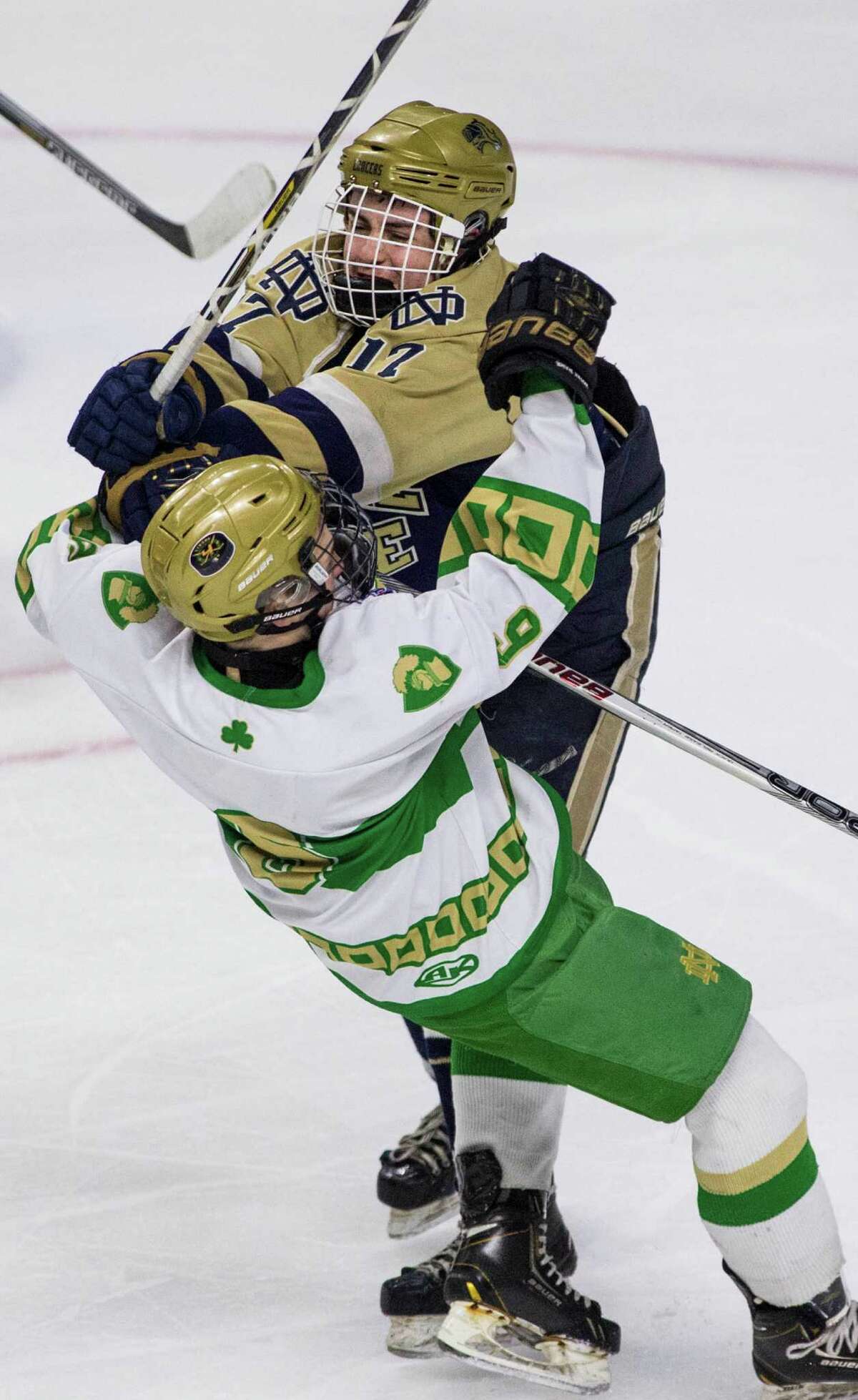 Notre Dame-Fairfield?’s Michael Antoniou knocks down Notre Dame-West Haven?’s Calvin Hoban in front of the Notre Dame-Fairfield goal during a quarterfinal round game of the CIAC division 1 boys ice hockey tournament played at Webster Bank Arena, Bridgeport, CT on Saturday, March 12, 2016