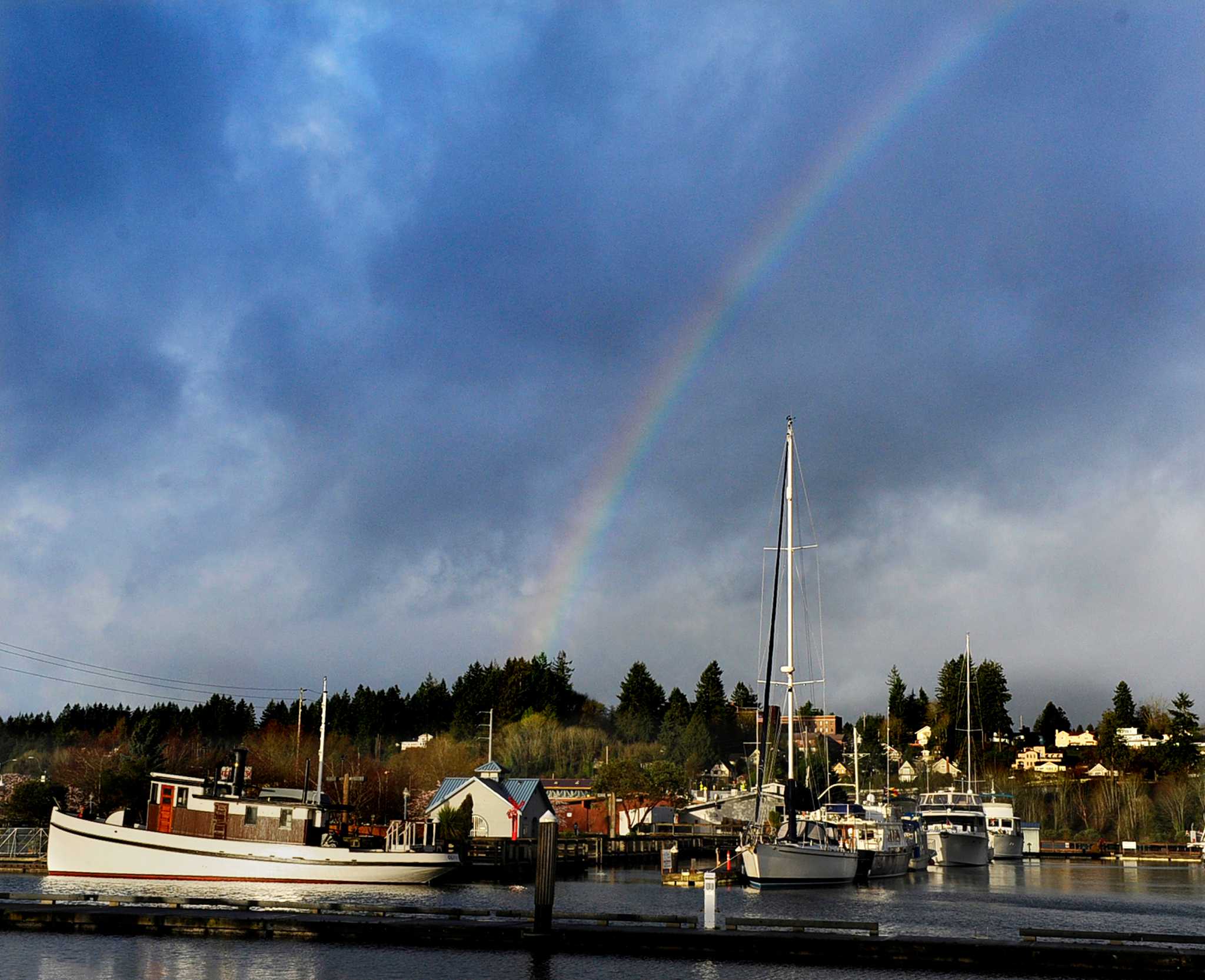 Washington rainfall peaks Feb. 9, 2017