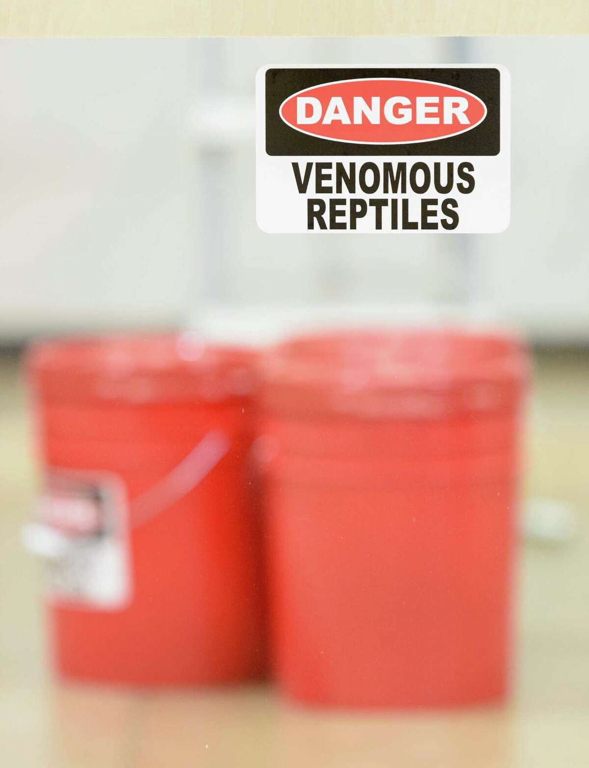 Reptile Expo Conroe Tx - byomaro