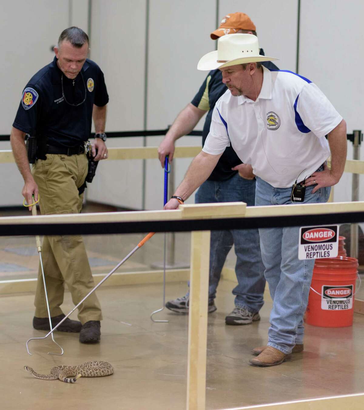 Conroe rattlesnake festival offers alternative to Texas roundups
