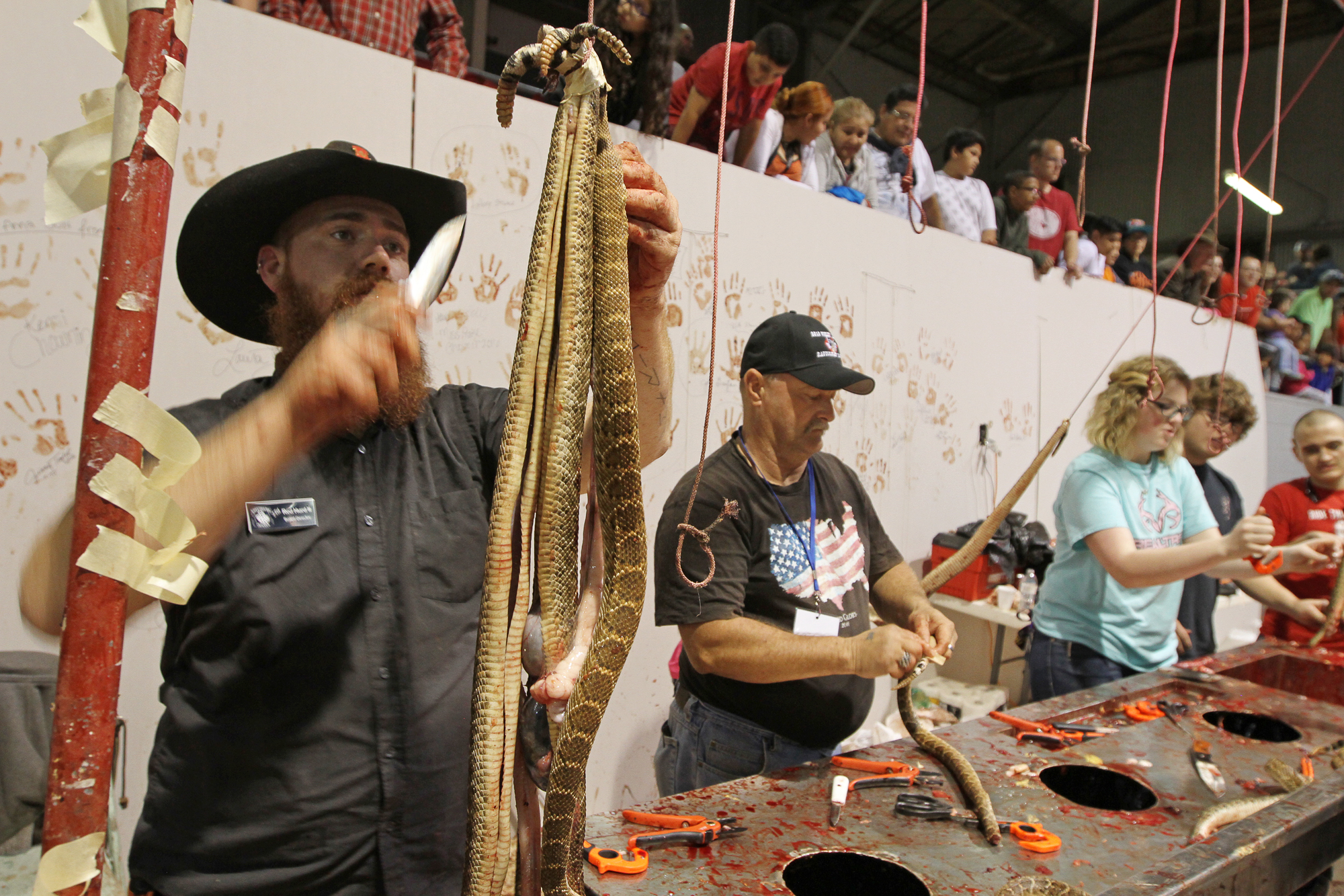 Texas Rattlesnake Rally The best photos from the World’s Largest Rattlesnake Roundup in ...