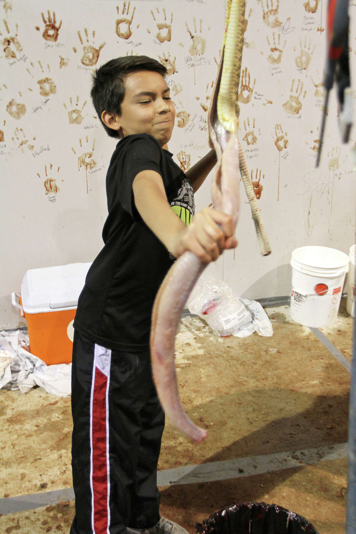 Dawson Rains, 12 skins a western diamondback rattlesnake at the skinning station at the 58th annual Sweetwater Jaycee's World's Largest Rattlesnake Round-Up on Saturday, March 12, 2016, at the Nolan County Coliseum in Sweetwater, Texas.