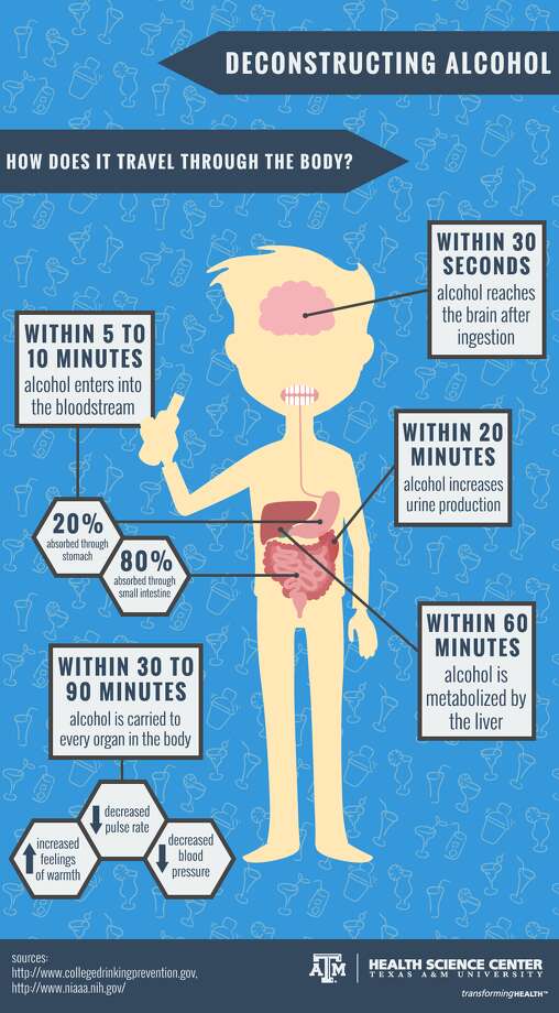 How alcohol travels through your body Houston Chronicle