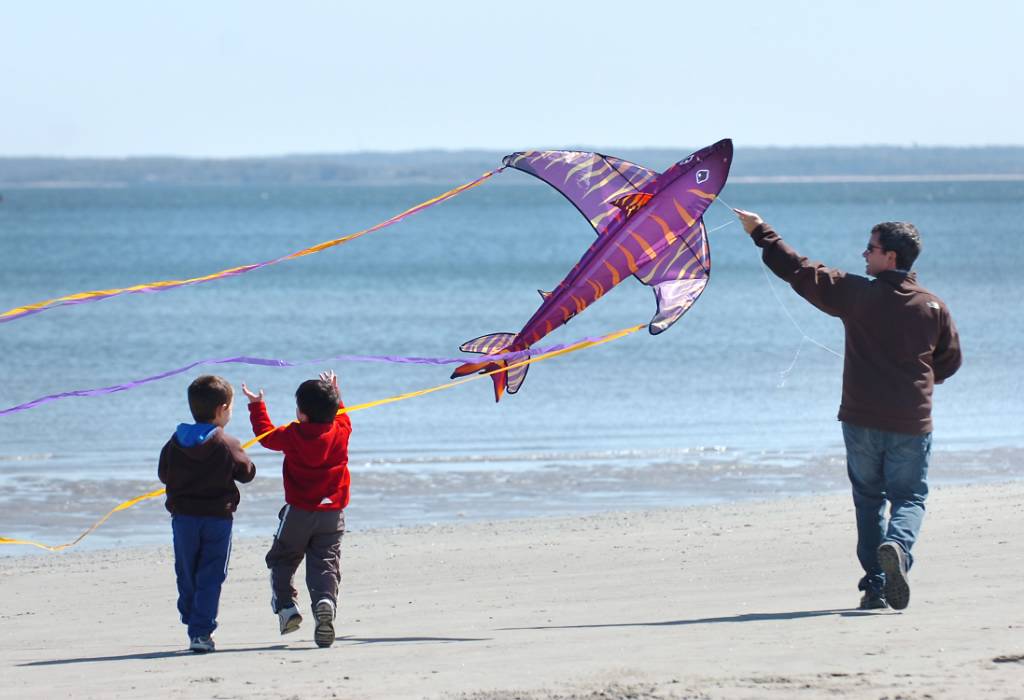 Kiteflying enthusiasts soar to new heights at the Point