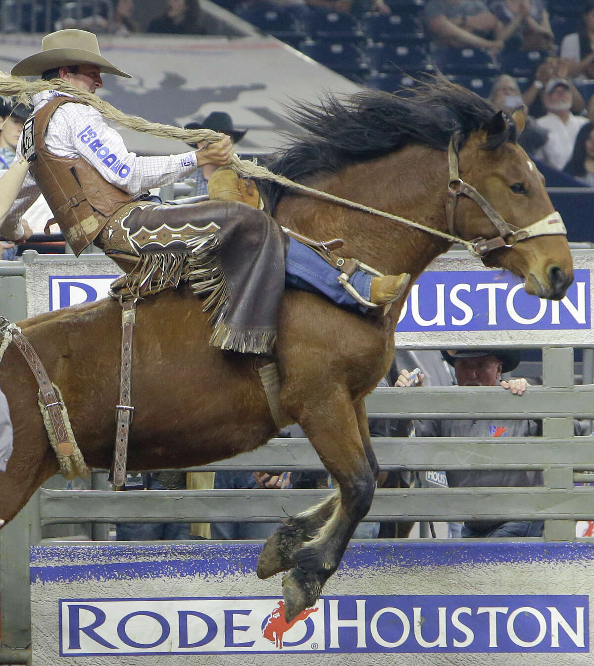 Texas man rides horse into Taco Bell