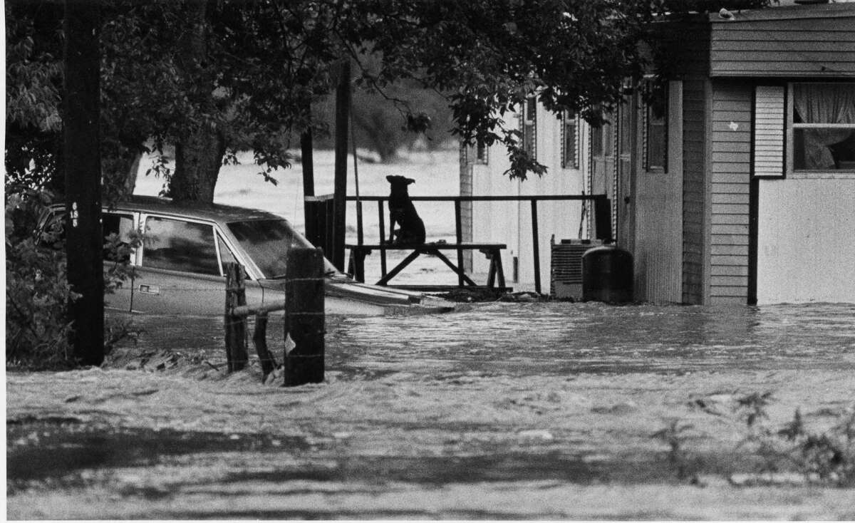 40 classic photos that show why the Guadalupe River is truly Texas