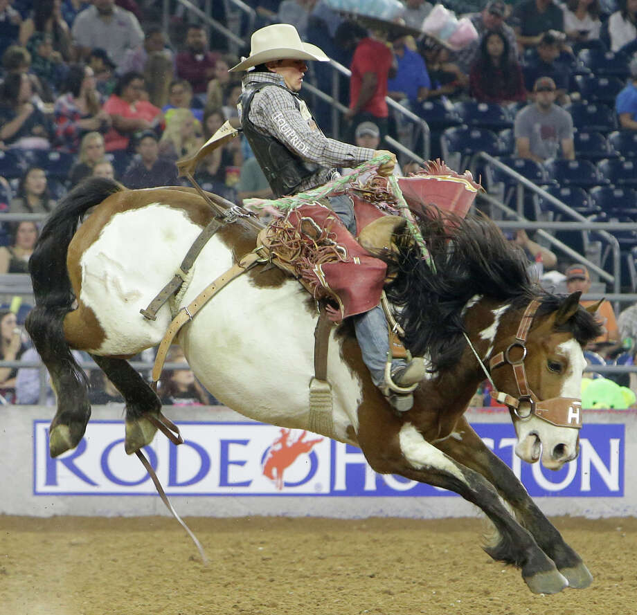 Texas man rides horse into Taco Bell - Houston Chronicle