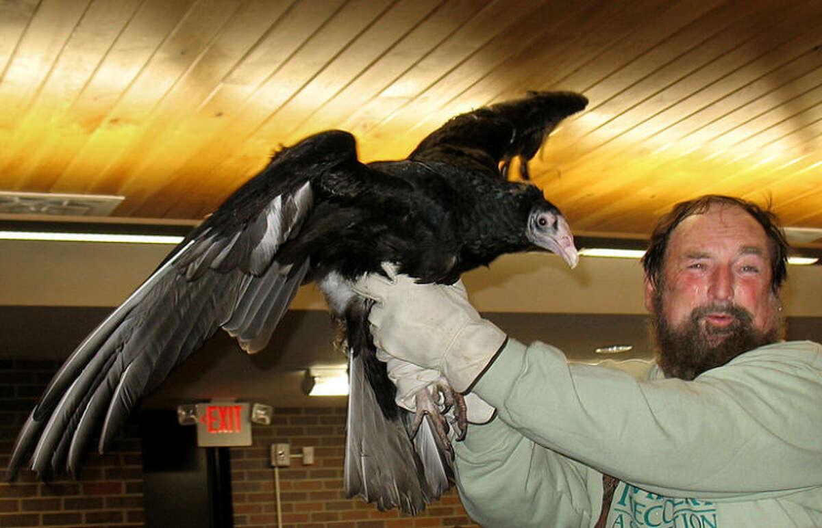 Wildlife Show” – Birds of Prey