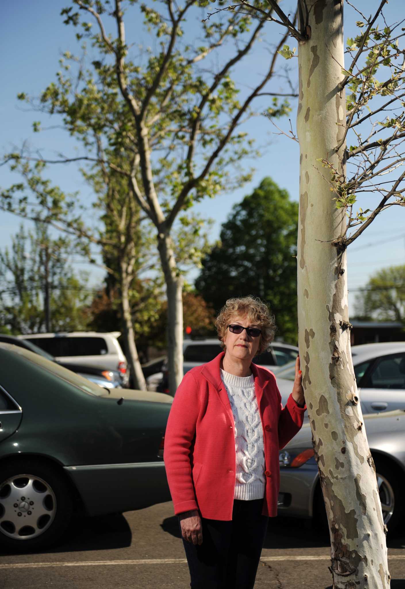 Greenwich Tree Conservancy to hold educational panel