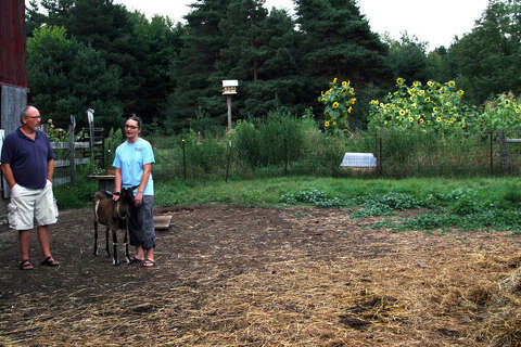 Stone Cottage Farm The Farm That Started As A Conversation