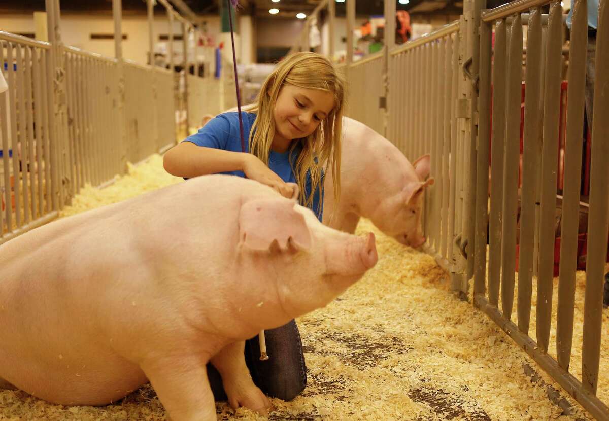 Houston Livestock Show & Rodeo Where: 3 NRG Parkway  The biggest event of the year is scheduled from March 7 through 26, 2017. Children will enjoy being able to interact with animals at the livestock show and play games at the carnival. For tickets go to axs.com/rodeohouston.