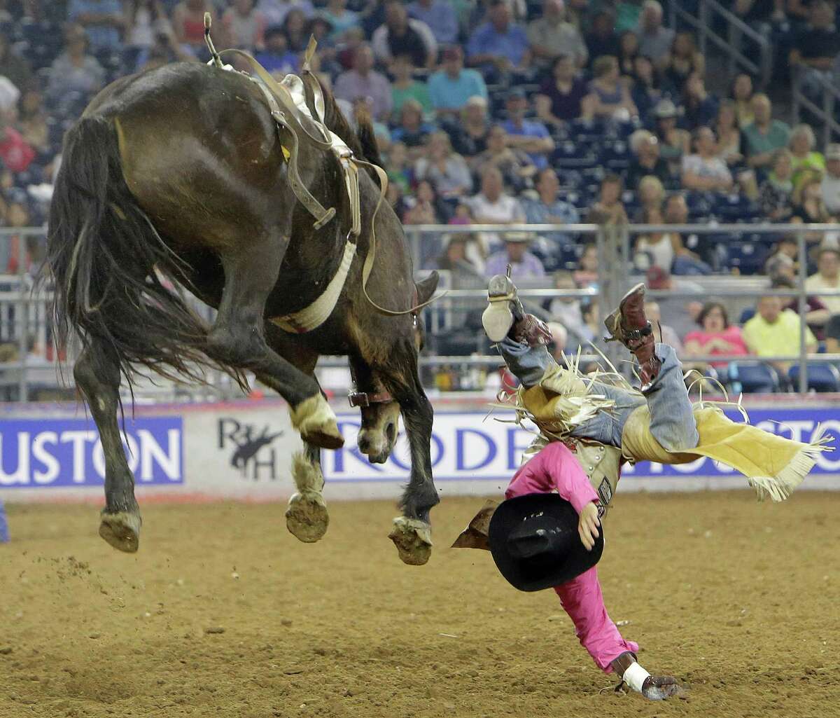 Texas man rides horse into Taco Bell