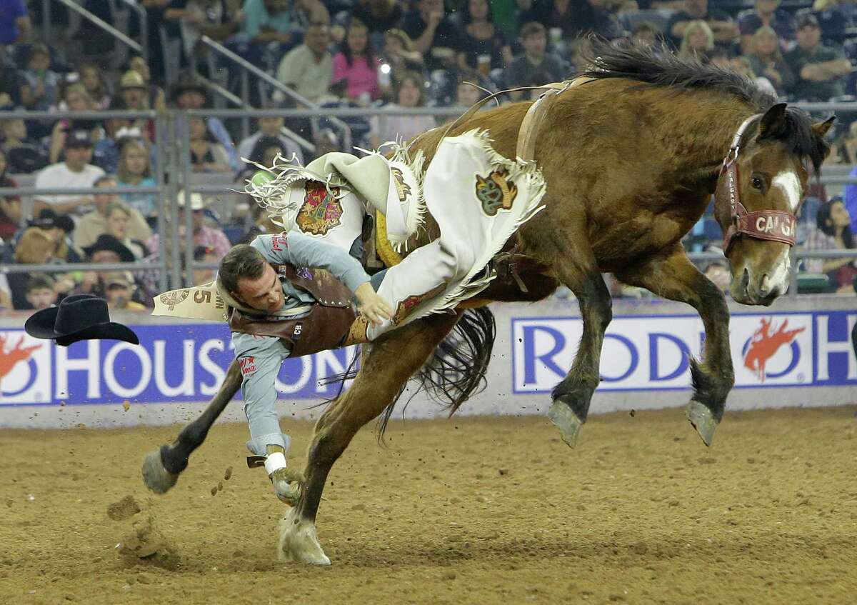 Top steer draws $375K at Rodeo auction