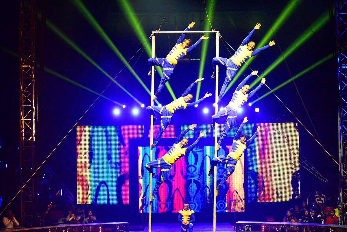 Zebras seen running loose in East Oakland, escapees from circus