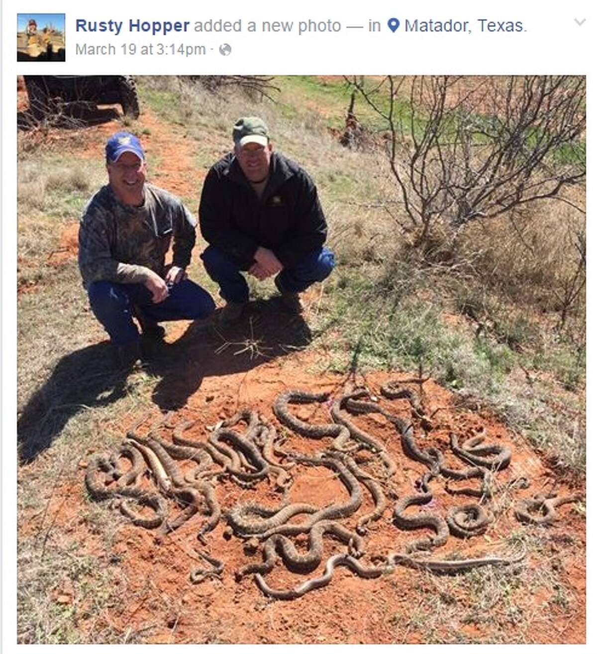 A group of North Texas hunters found a different kind of game when they discovered a nightmarish scene of nearly 30 slithering rattlesnakes hiding beneath a deer blind.