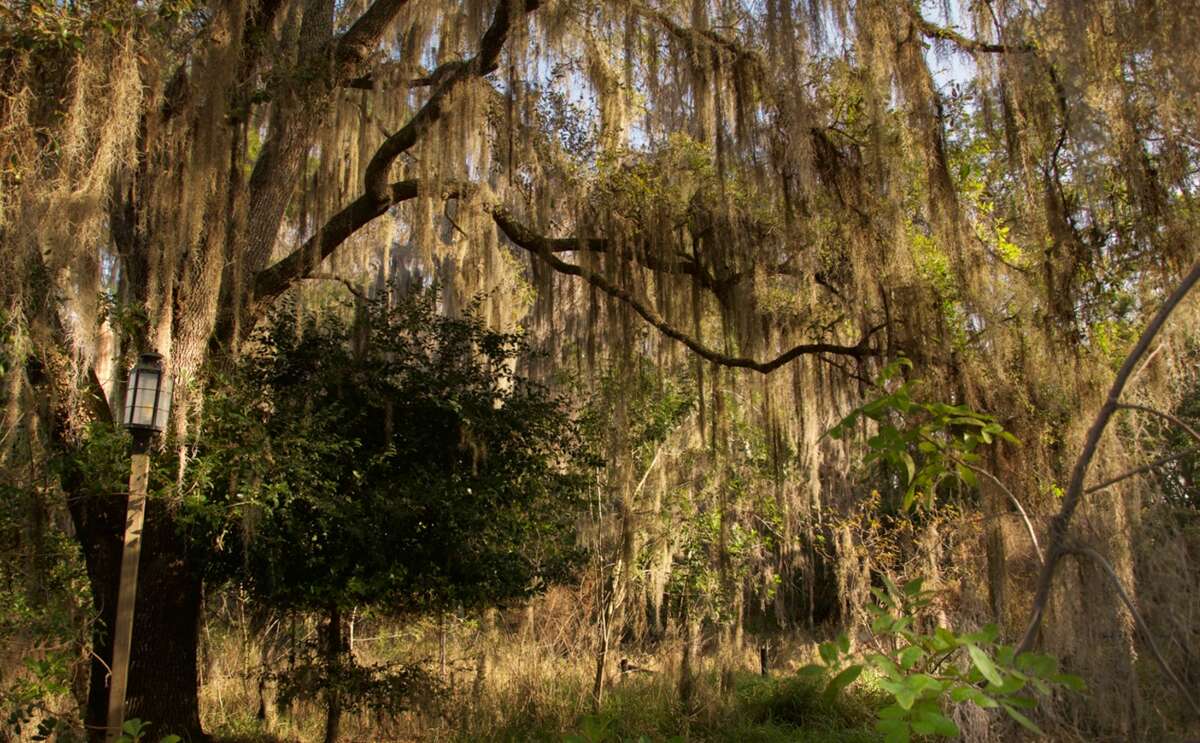 Photos give an inside look into a creepy, abandoned Disney water park