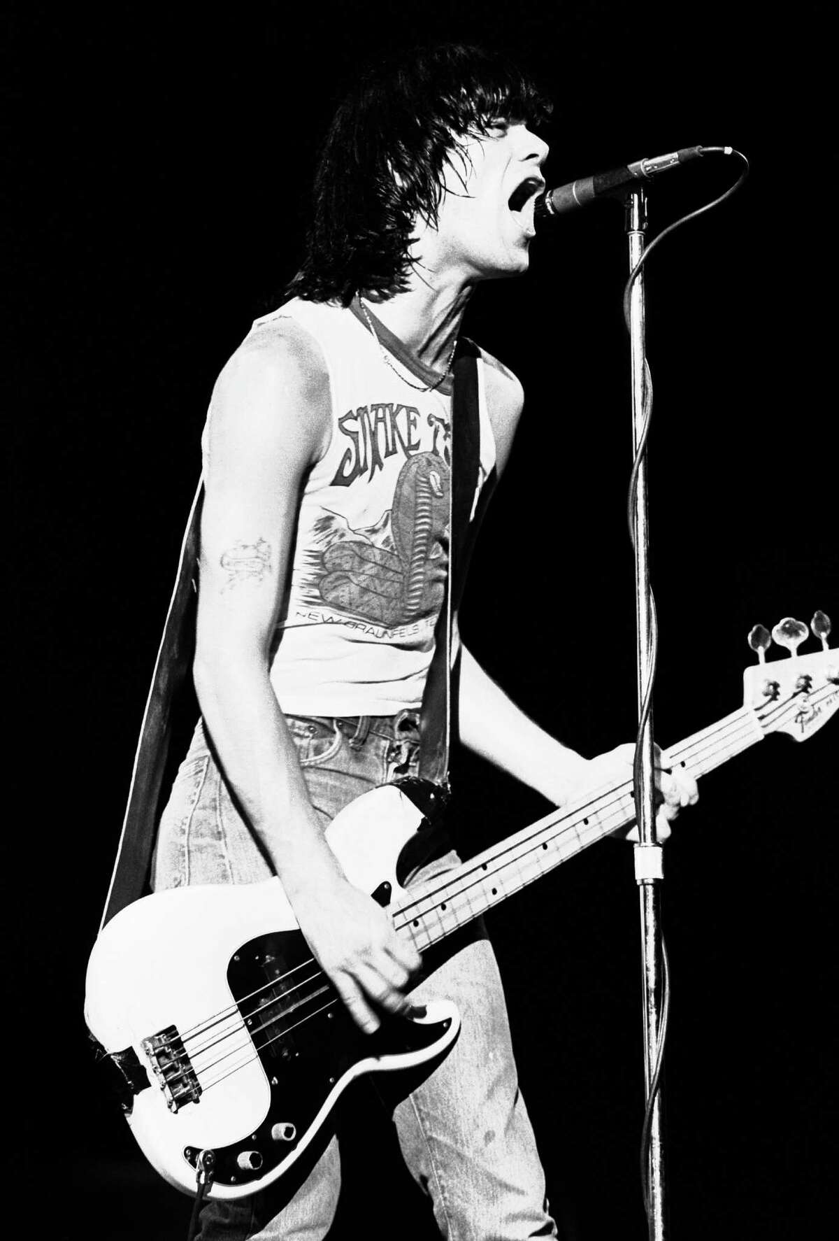 2. While on tour in late 1970s Texas, the Ramones stumbled upon the off-beat roadside stop and incorporated Snake Farm t-shirts into their wardrobe. Replicas of the t-shirts worn by the late Dee Dee Ramone are available online.
