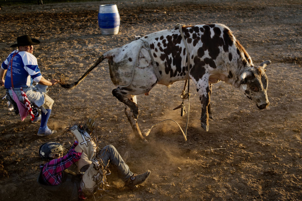 Sheer Grit in Gladwin