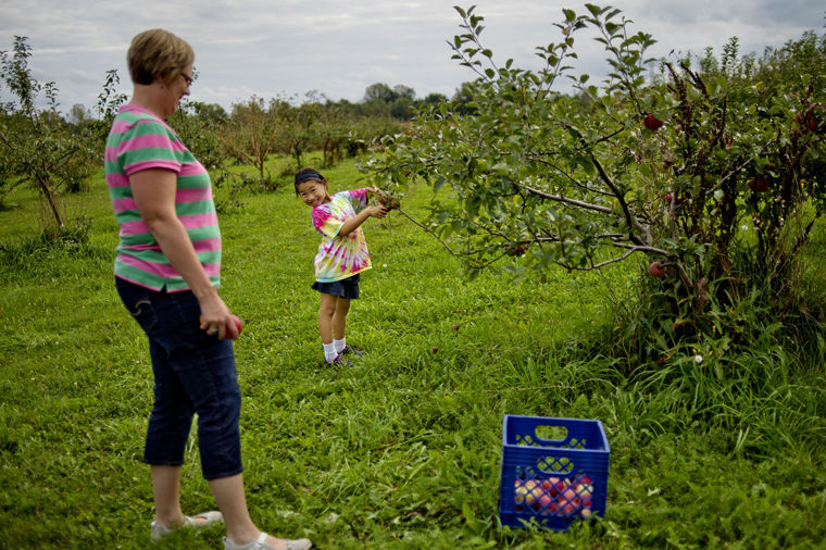 Bumper Crop! Apples aplenty at local orchards