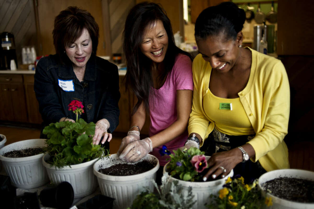 In this Daily News file photo, a group of women pot plants during the Spring into Spring fundraiser for YoungLives last year.