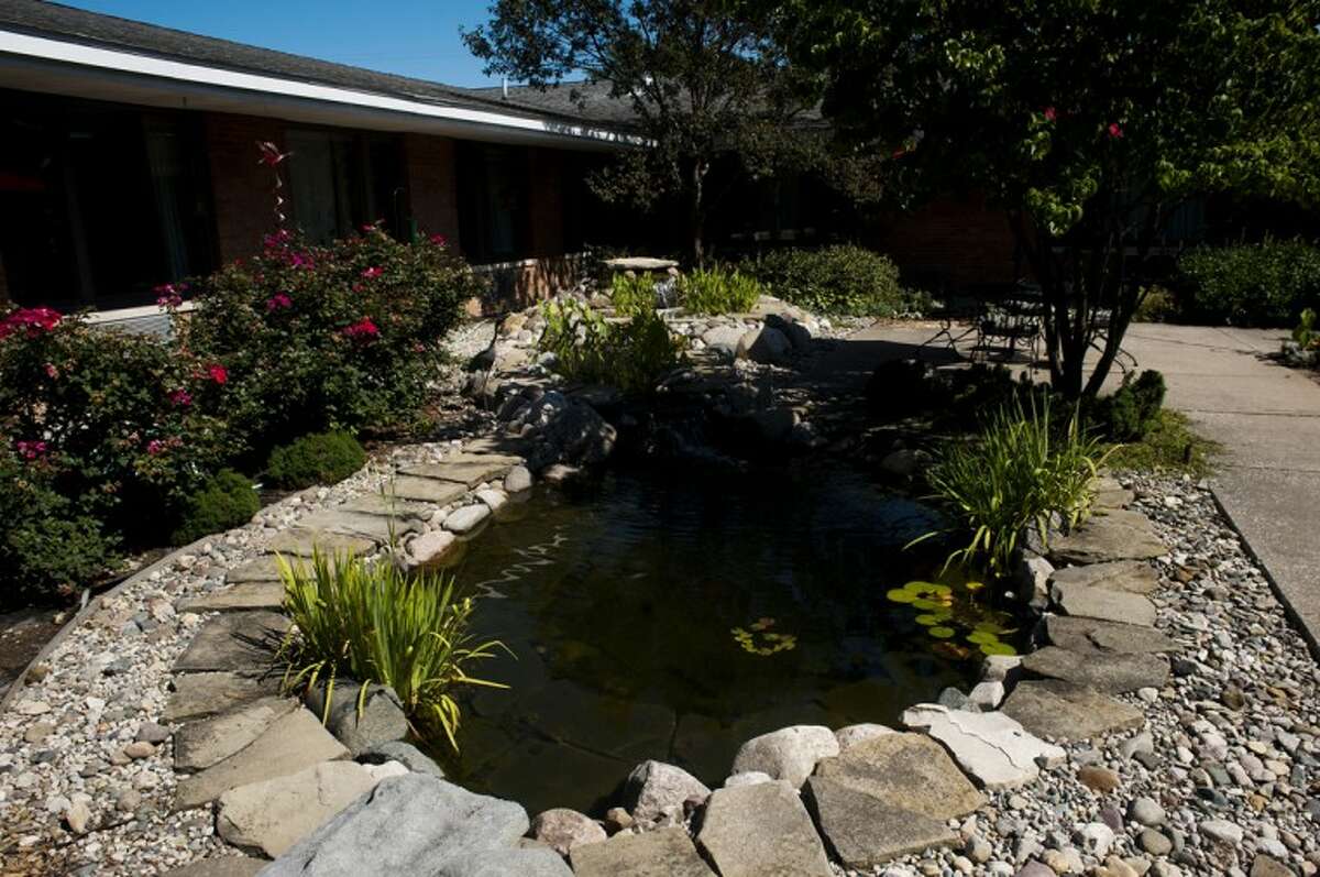 Backyard oasis Ponds a soothing, priceless addition to a home