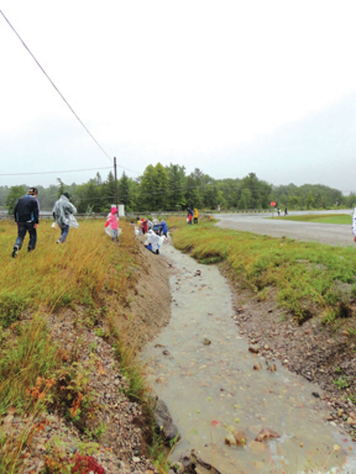 Fossils rock! PaleoJoe shares Alpena sites rich with millionsyearsold