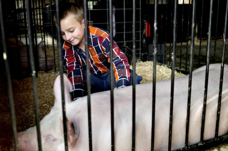 Showing animals a learning experience