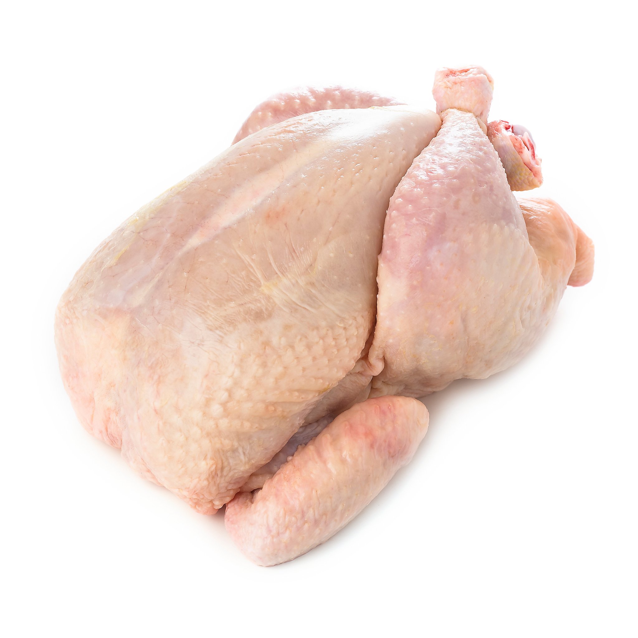 CDC investigates outbreak of salmonella linked to kosher chicken