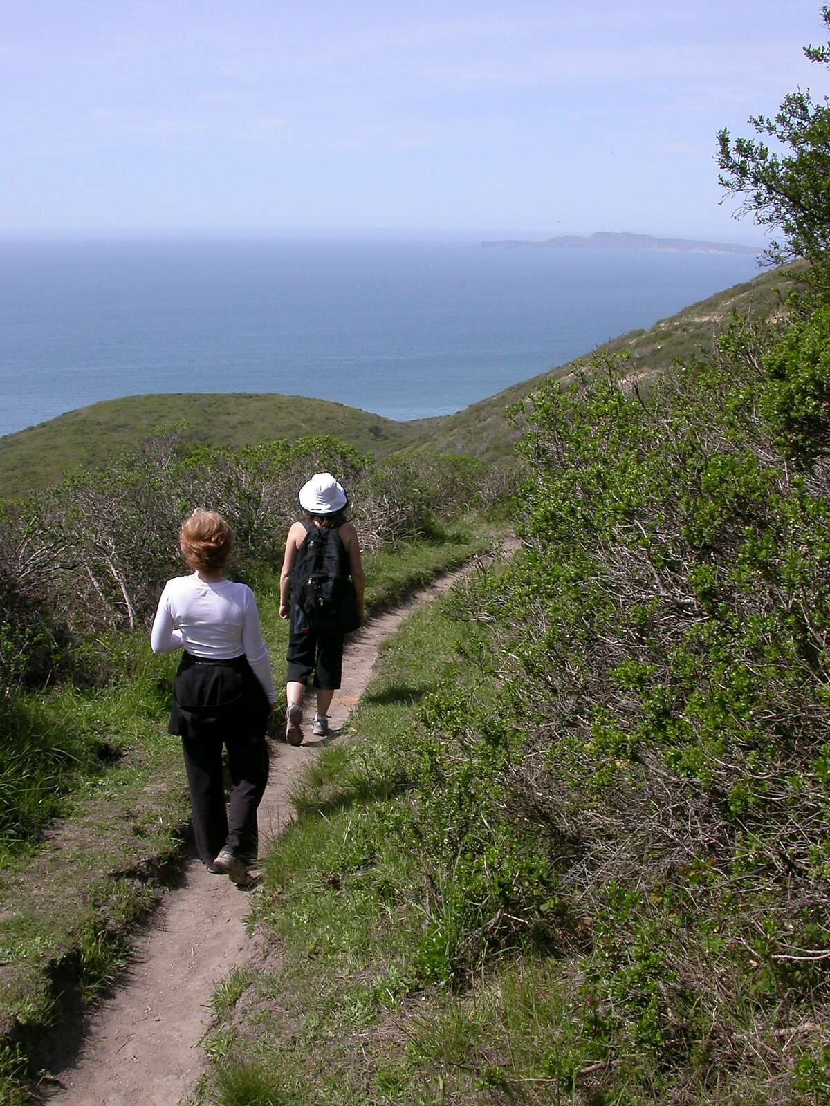 On the Sky Trail Loop, you emerge from forest for views of Drakes Bay, Chimney Rock Headlands and Limantour.