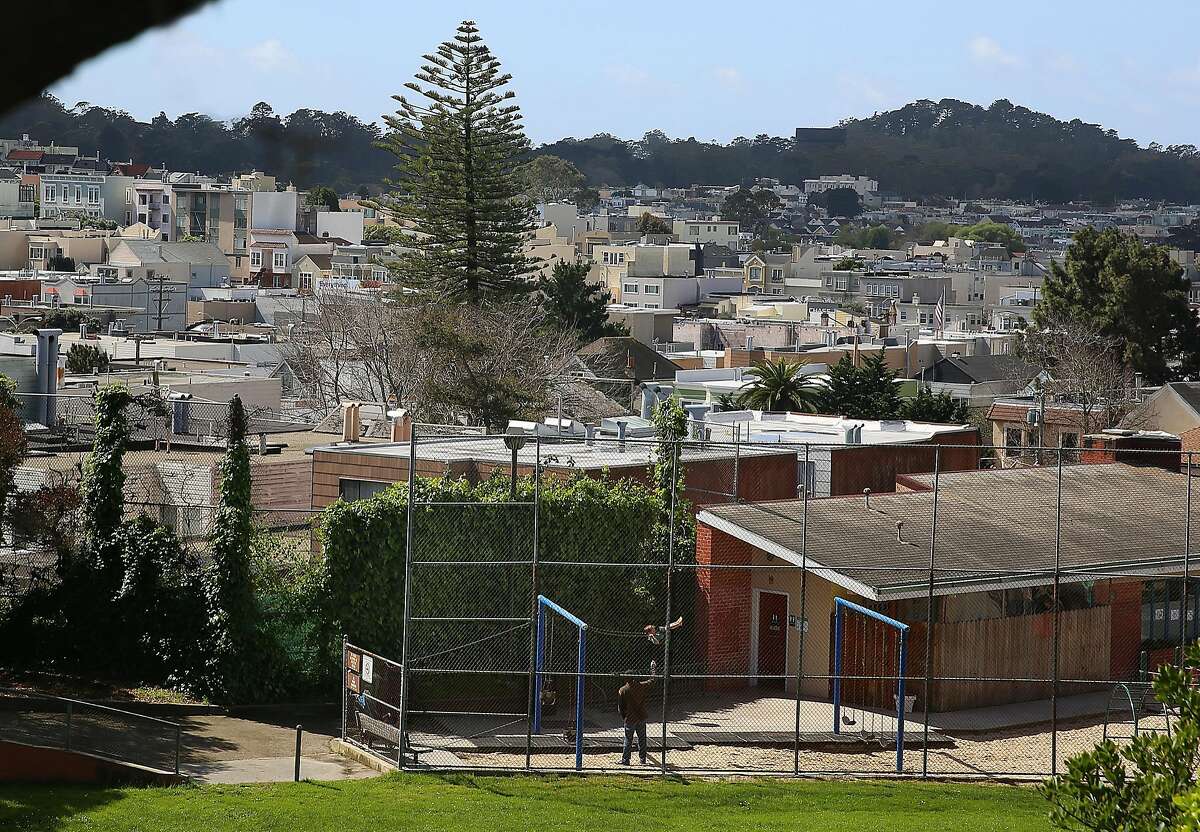 The tree at 46 Cook St. seen from Laurel Hill playground in San Francisco, California, on tuesday, march 22, 2016.
