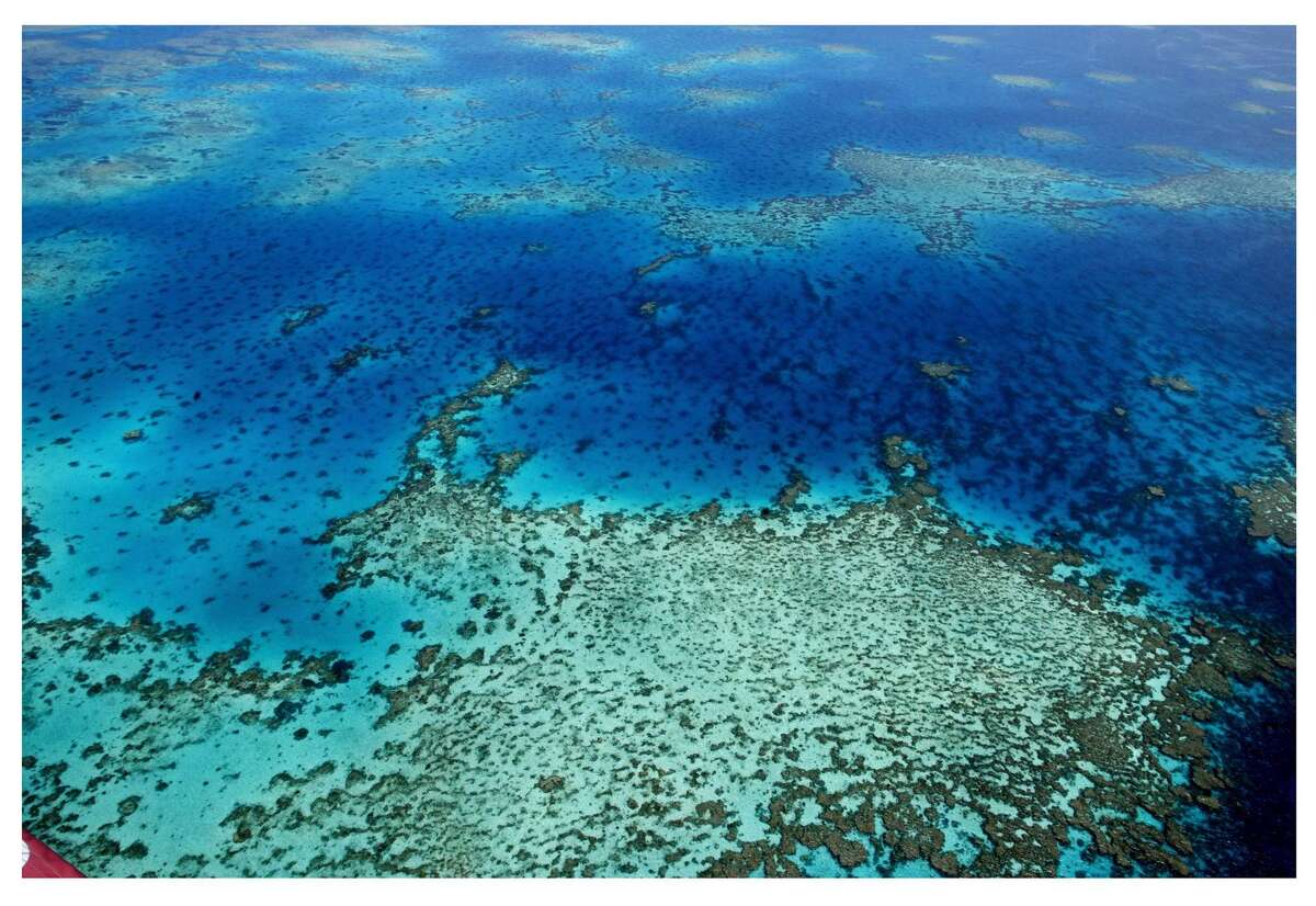 Stunning photos show the Great Barrier Reef is dying, due to 'coral ...