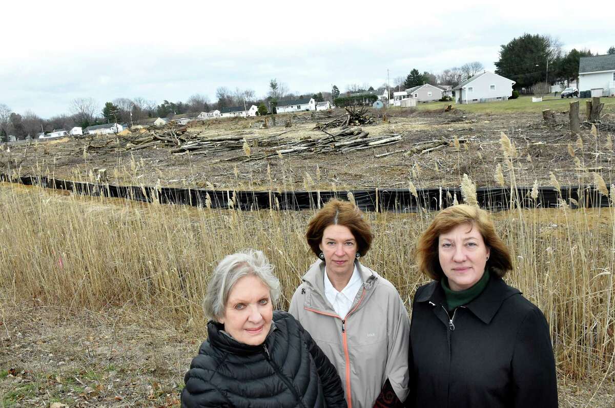 Members of Save Colonie's Trees, who are upset by the number of mature trees have been taken down by developers, on Maxwell Road on Friday, March 25, 2016, in Colonie, N.Y. Lisa Barron, left, Carolyn Martel, center, and Cathie Love want the town to change their approach with development property. (Cindy Schultz / Times Union)