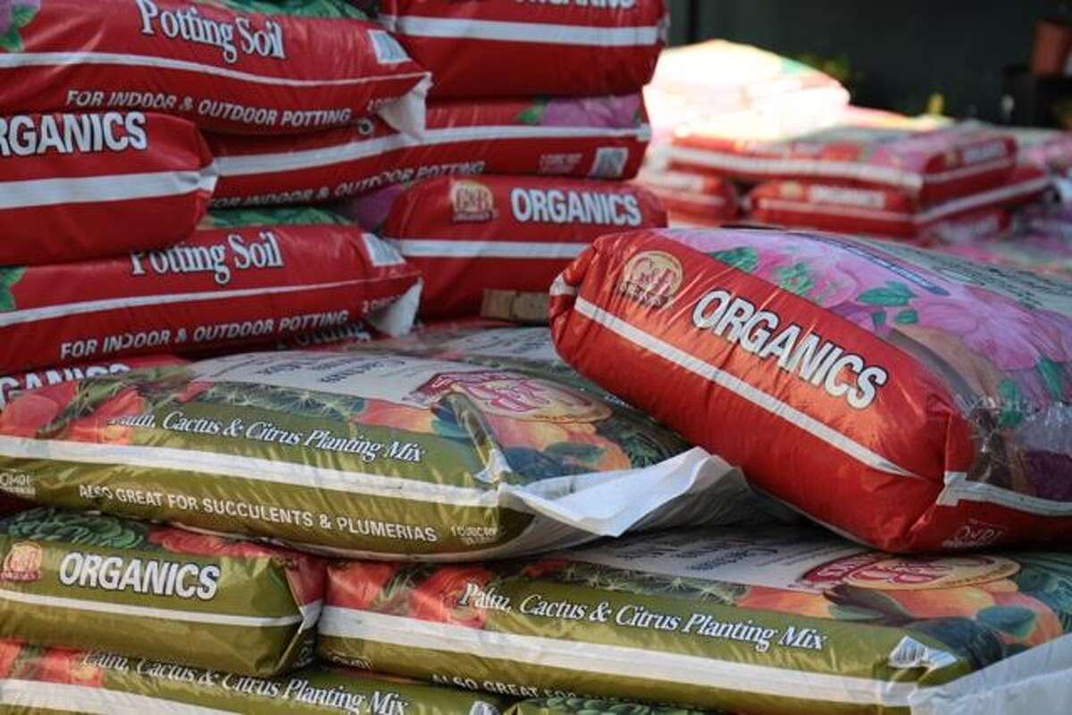 30 plants perfect for the Bay Area spring