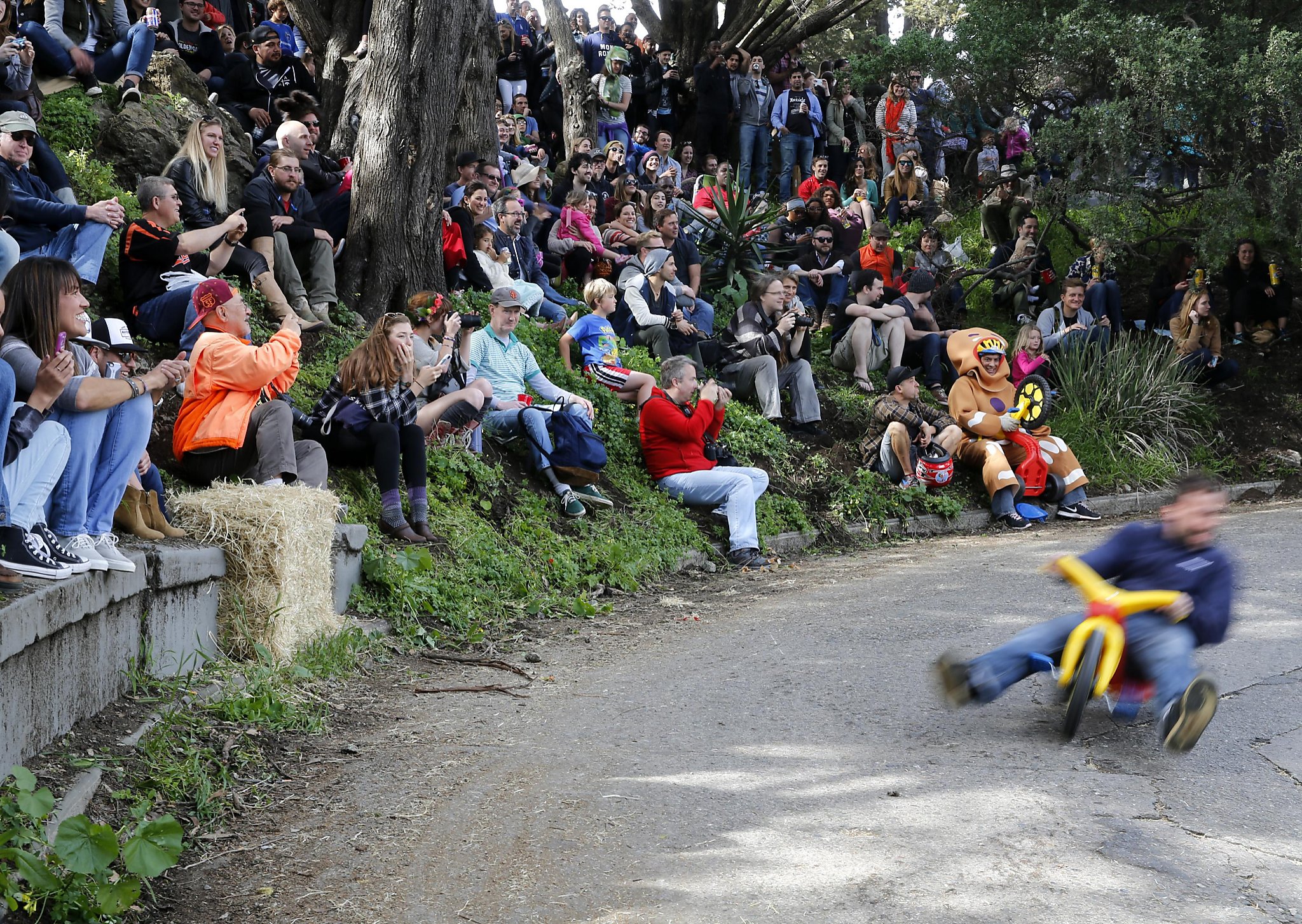 Big cheap wheel downhill