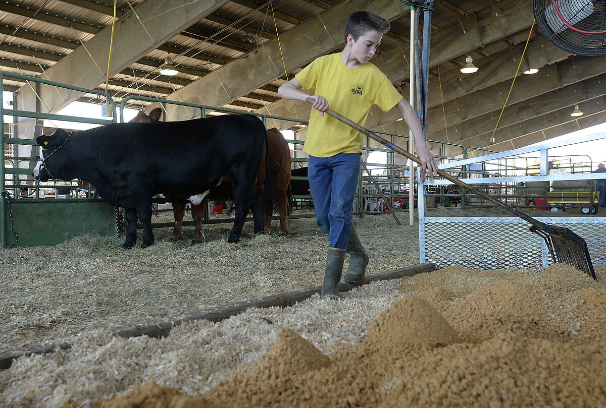 Teens tell their stories at state fair livestock show