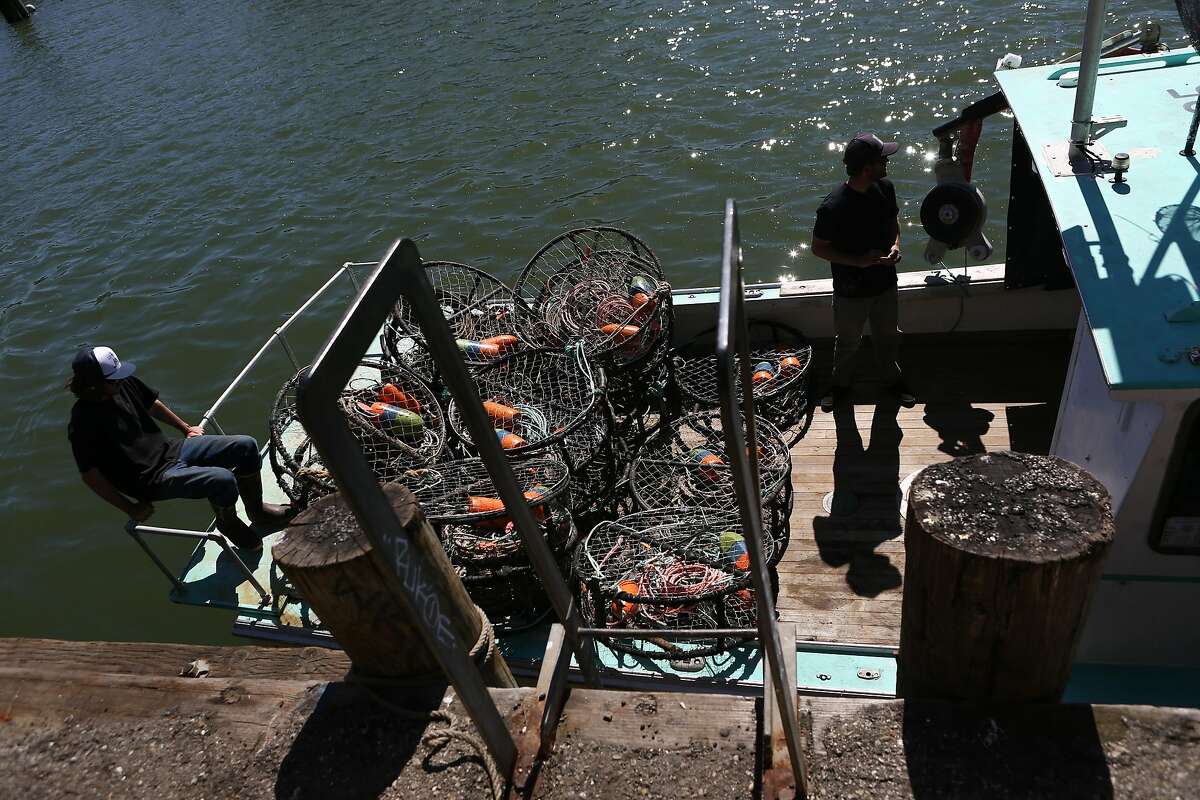 Dungeness crab finally arrives at SF docks