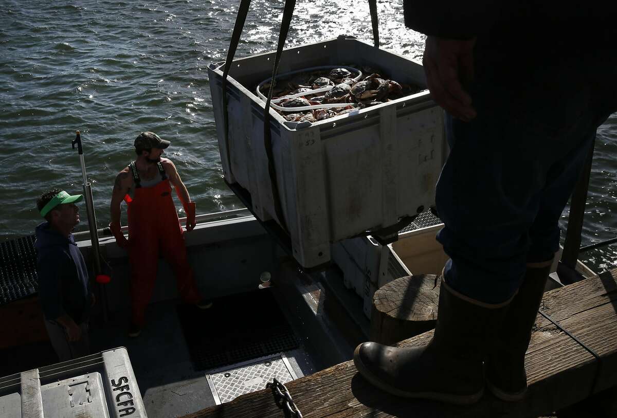Fisherman's Wharf feast celebrates belated crab season, but exposes wounds