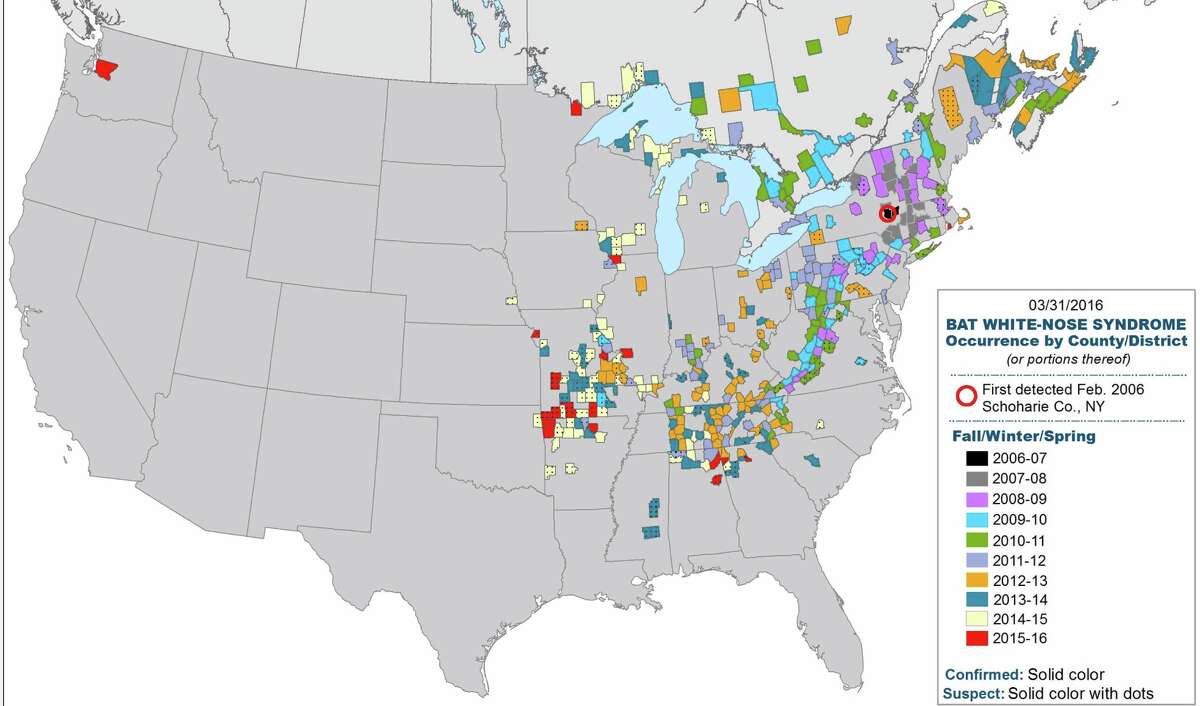 Range map for White Nose Syndrome. Map: Cal Butchkoski, PA Game Commission