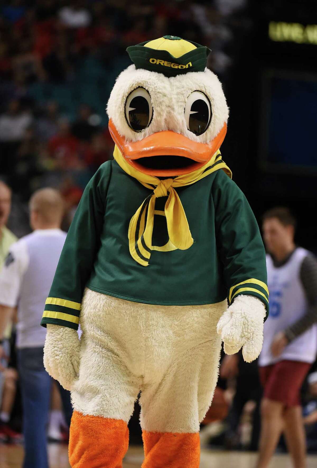 mandrake oregon ducks mascot