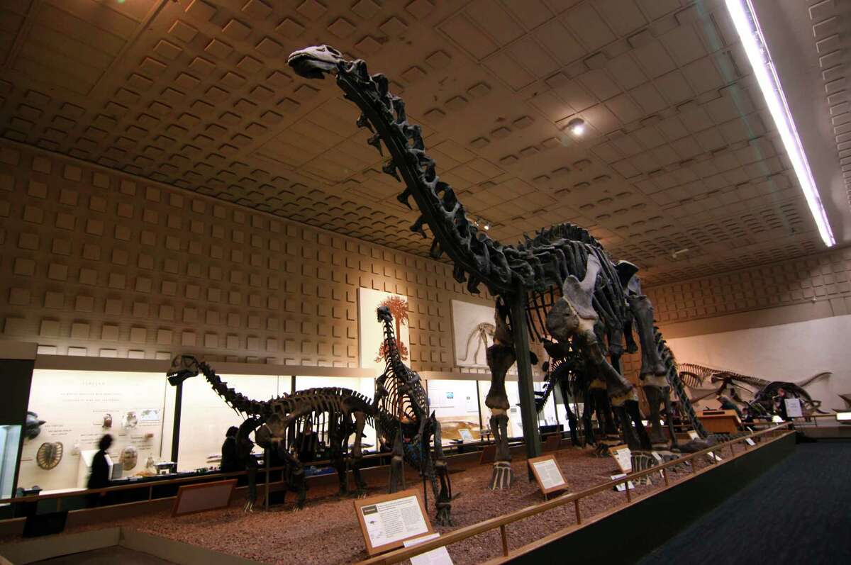 peabody museum dinosaur exhibit