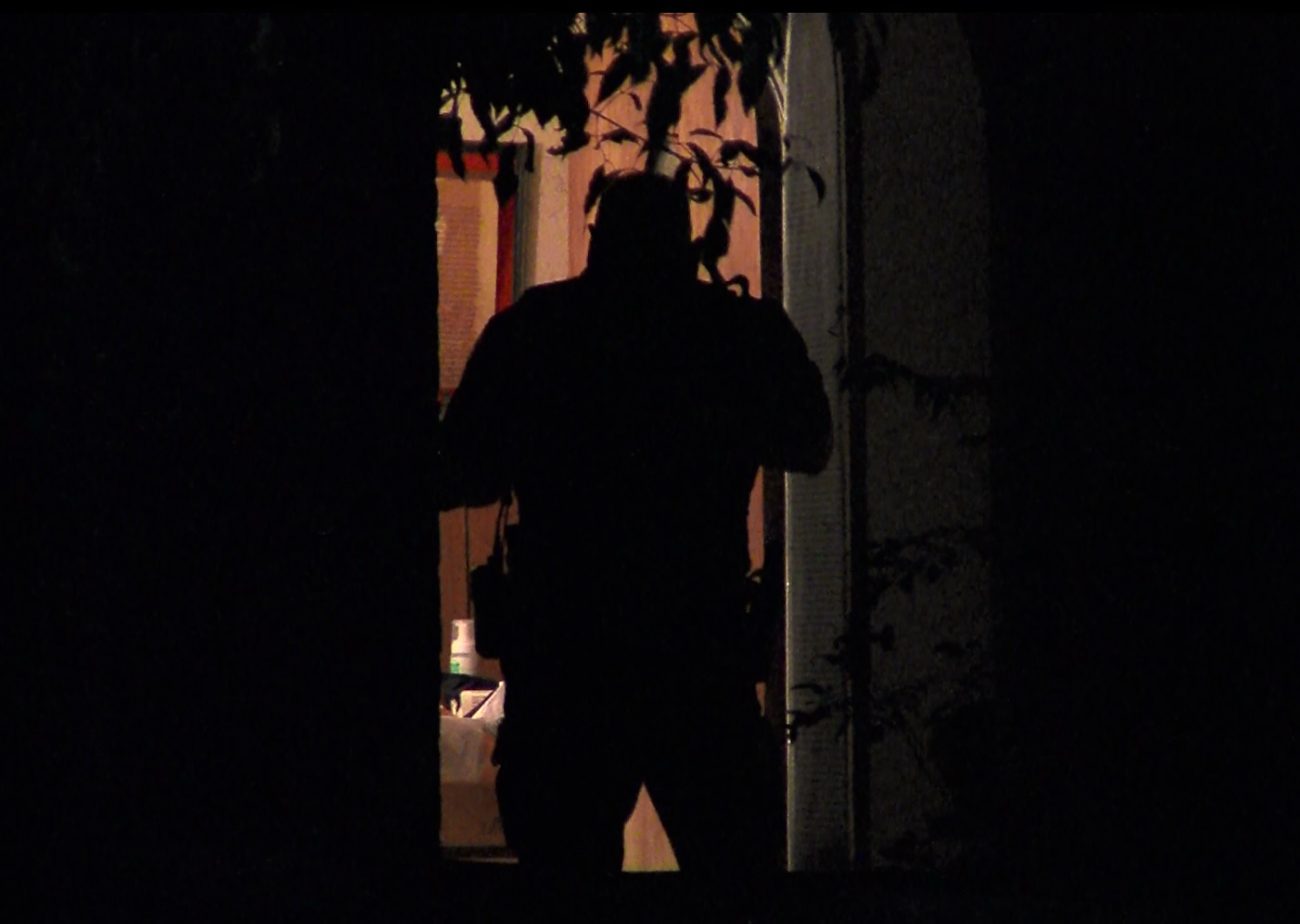Northwest Side homeowner assaulted in home invasion