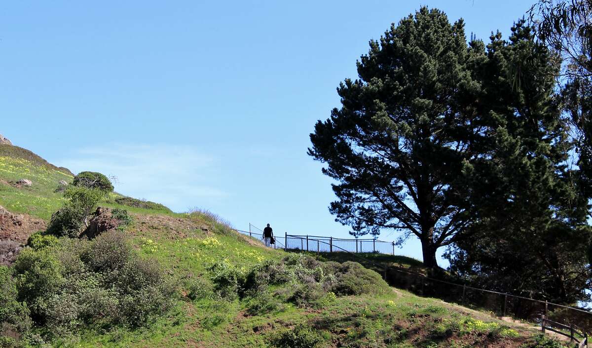 The best places to picnic in San Francisco