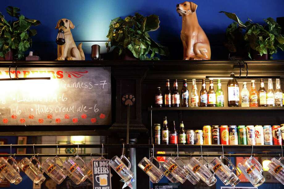 Seattle's best dogfriendly bars, restaurants and cafes